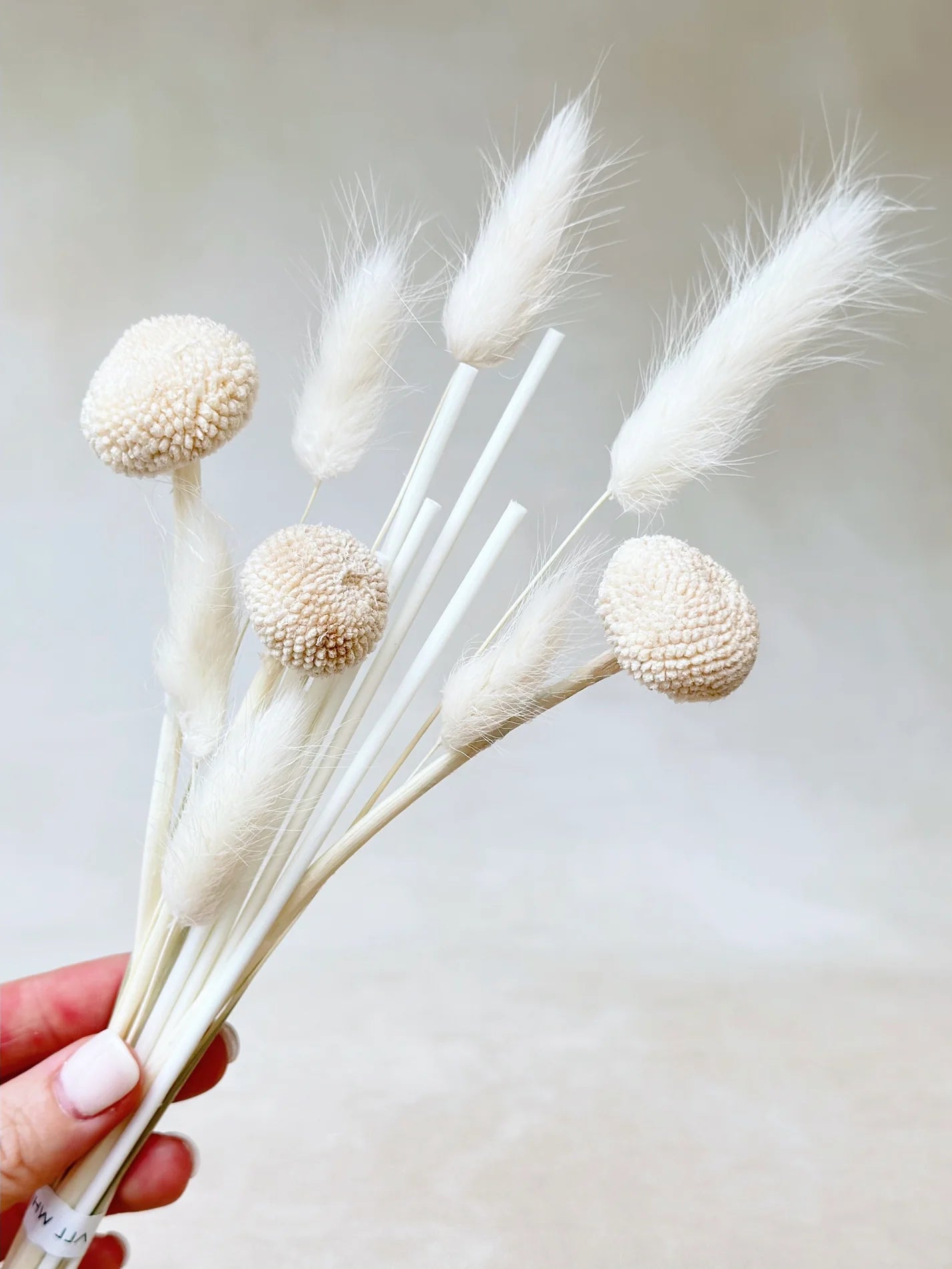 White Craspedia Floral Bouquet