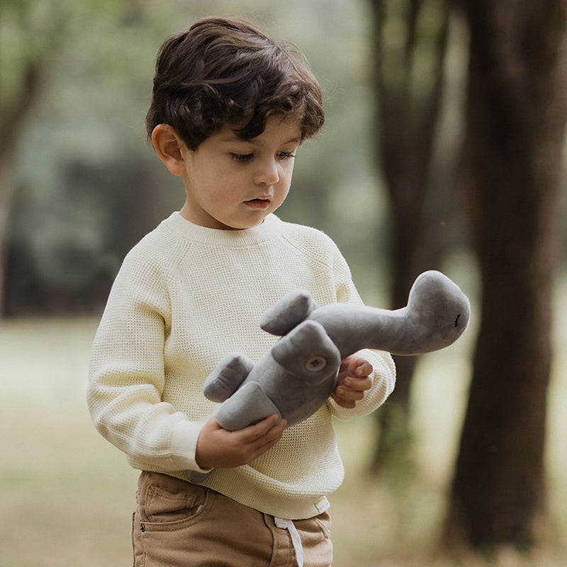 Cojín Picco Dino Bronti Mundo Jurásico